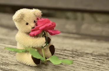 teddy-889892-366w teddy-889892-366w
