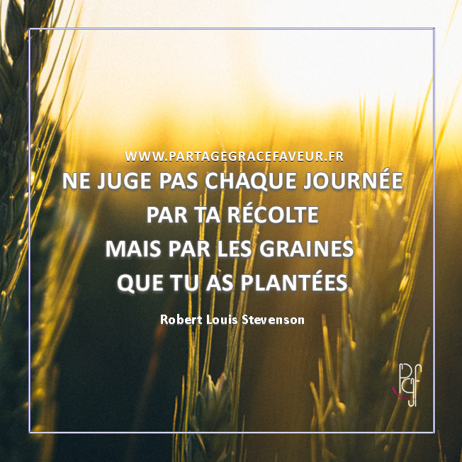 Reste focus sur ta bonne semence